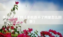 手机连不了网（手机连不了网是怎么回事）