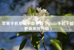 苹果手机系统不能更新（iphone手机不能更新系统升级）