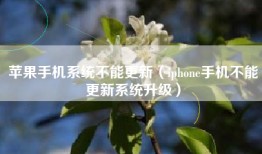 苹果手机系统不能更新（iphone手机不能更新系统升级）