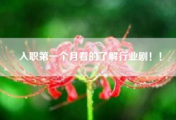 入职第一个月看的了解行业剧！！