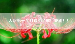 入职第一个月看的了解行业剧！！