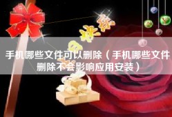 手机哪些文件可以删除（手机哪些文件删除不会影响应用安装）