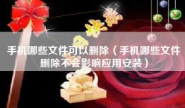手机哪些文件可以删除（手机哪些文件删除不会影响应用安装）