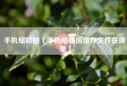手机缩略图（手机缩略图缓存文件在哪里）