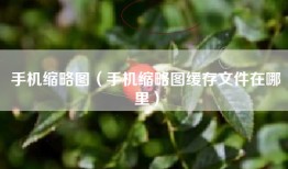 手机缩略图（手机缩略图缓存文件在哪里）