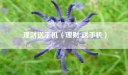 理财送手机（理财 送手机）