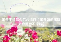 苹果手机怎么后台运行（苹果如何保持后应用台不掉线）