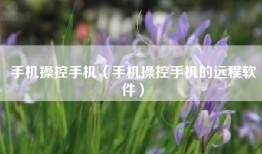 手机操控手机（手机操控手机的远程软件）