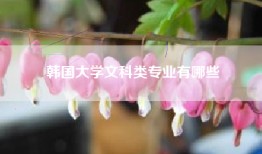 韩国大学文科类专业有哪些