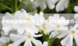 手机制作视频软件（手机制作视频软件app）