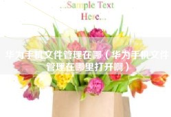 华为手机文件管理在哪（华为手机文件管理在哪里打开啊）