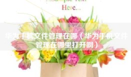华为手机文件管理在哪（华为手机文件管理在哪里打开啊）