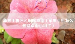 苹果手机怎么删除桌面（苹果手机怎么删除桌面小组件）