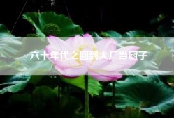 六十年代之回到大厂当厨子
