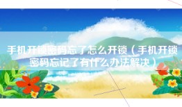 手机开锁密码忘了怎么开锁（手机开锁密码忘记了有什么办法解决）