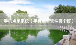手机点单系统（手机点单软件哪个好）