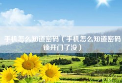 手机怎么知道密码（手机怎么知道密码锁开门了没）