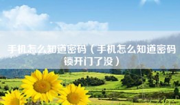 手机怎么知道密码（手机怎么知道密码锁开门了没）