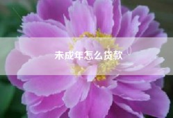 未成年怎么贷款