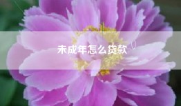 未成年怎么贷款