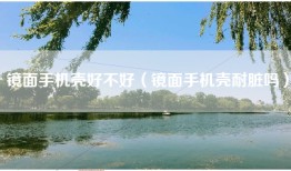 镜面手机壳好不好（镜面手机壳耐脏吗）