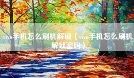 vivo手机怎么刷机解锁(vivo手机怎么刷机解锁密码)