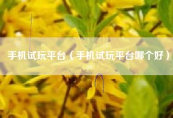 手机试玩平台（手机试玩平台哪个好）