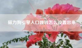 磁力狗引擎入口跳转怎么设置出来