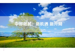中部崛起：新机遇 新开局