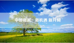 中部崛起：新机遇 新开局
