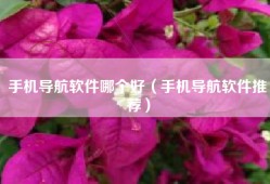 手机导航软件哪个好（手机导航软件推荐）
