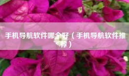 手机导航软件哪个好（手机导航软件推荐）