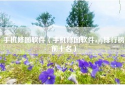 手机修图软件（手机修图软件app排行榜前十名）