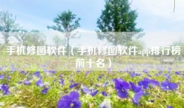 手机修图软件（手机修图软件app排行榜前十名）