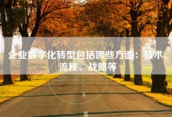 企业数字化转型包括哪些方面：技术、流程、战略等