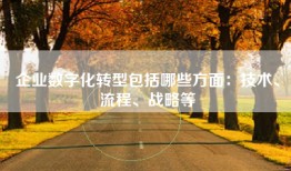 企业数字化转型包括哪些方面：技术、流程、战略等