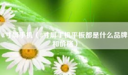 8寸屏手机（8寸屏手机平板都是什么品牌和价格）