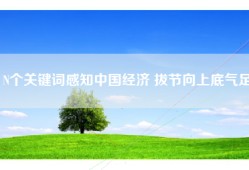 N个关键词感知中国经济 拔节向上底气足
