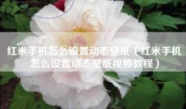 红米手机怎么设置动态壁纸（红米手机怎么设置动态壁纸视频教程）