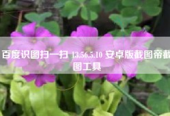 百度识图扫一扫 13.56.5.10 安卓版截图帝截图工具