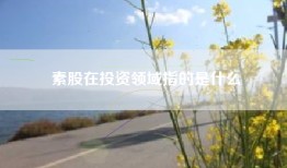 素股在投资领域指的是什么