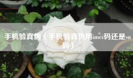 手机验真伪（手机验真伪用imei码还是sn码）