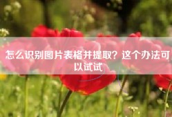 怎么识别图片表格并提取？这个办法可以试试