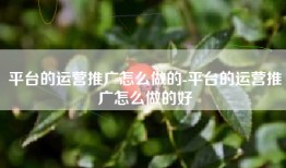 平台的运营推广怎么做的-平台的运营推广怎么做的好