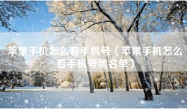 苹果手机怎么看手机号（苹果手机怎么看手机号黑名单）