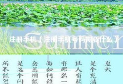 注册手机（注册手机号码需要什么）