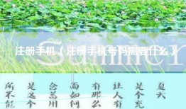 注册手机(注册手机号码需要什么)