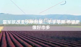 雷军欲改变小米形象：不学苹果 希望更像好市多
