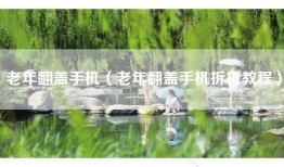 老年翻盖手机（老年翻盖手机拆机教程）