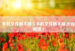 手机文件删不掉（手机文件删不掉,出现错误）